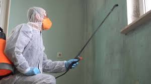 Best Residential Mold Inspection & Testing  in Orem, UT